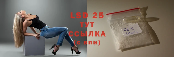 стафф Алексин
